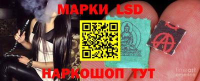 мдпв Будённовск